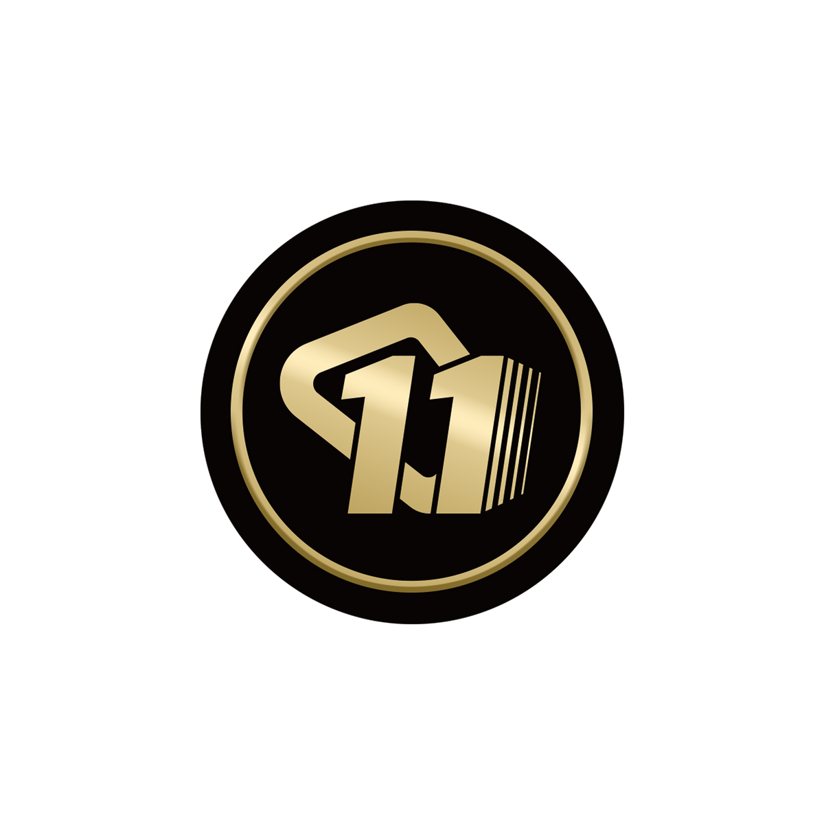 Magnetic Badge – 11th Anniversary Commemorative Badge for the Pro Haptic Vest – magnetic badge pro vest – photo 1 of 1