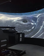 Motion Ride Simulator – Track-Driven 3D Ride Cinema for 8–10 Guests – MNX-CVR-3DRIDE-10S – photo 7 of 11