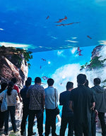 Metaverse Theater – 270° LED Immersive Cinema for 20 Guests – MNX-CVR-META270-20S – photo 9 of 11